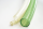 PVC – Gartenschlauch