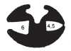 0264/PVC65 – Klemm-Verbinder – 24 x 17 mm