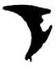 0153/EPDM65-Keil-